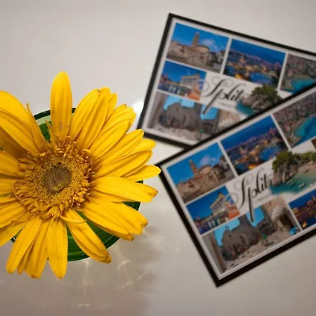 Mia Διαμέρισμα Σπλιτ